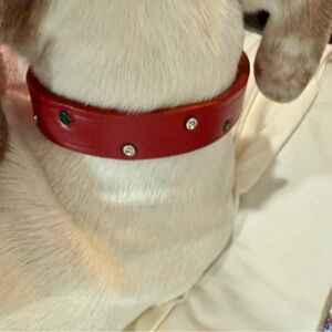 Your lap in luxury Red Leather Dog Collar with Swarovski Crystal Stud Accents